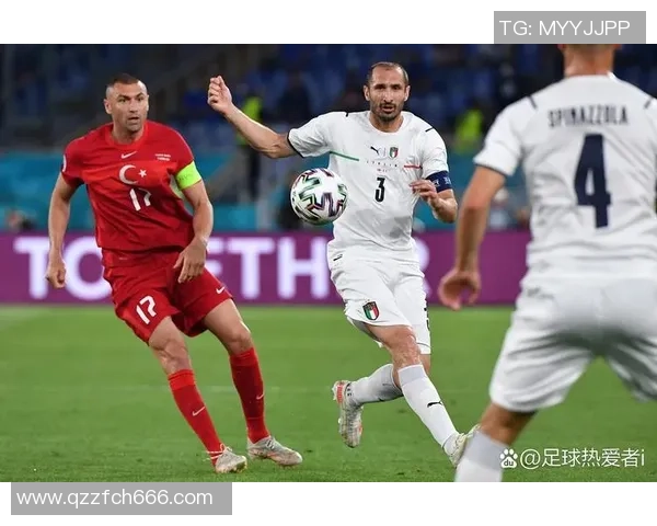 足球球迷心声揭秘：他们对球队的热爱与期待是什么样的体验